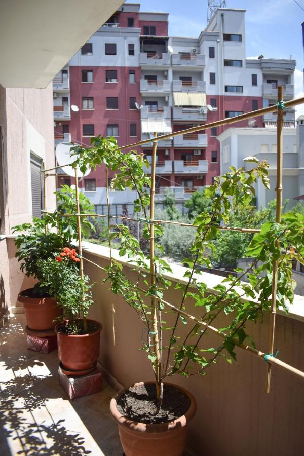 New Apartment Zoe شكودر المظهر الخارجي الصورة